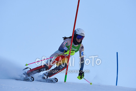 Copa gineta II_2024-12-31_033_ESP195315
