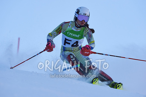 Copa gineta II_2024-12-31_022_ESP195294
