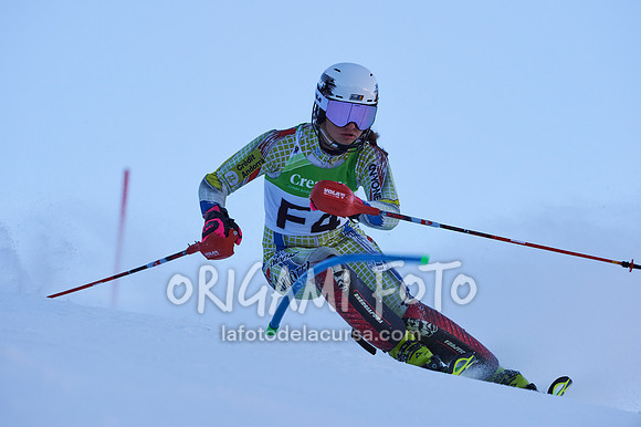 Copa gineta II_2024-12-31_021_ESP195293