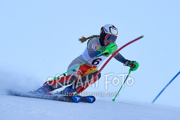 Copa gineta II_2024-12-31_051_ESP195347