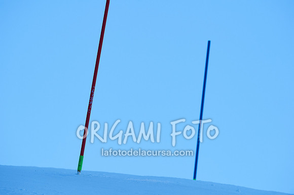 Copa gineta II_2024-12-31_001_ESP195254