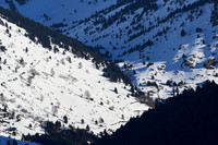 WC Women’s Downhill