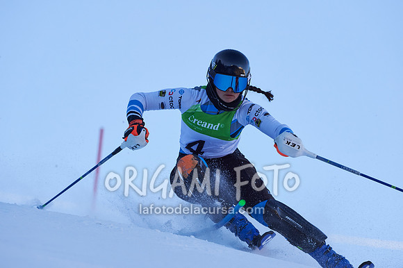 Copa gineta II_2024-12-31_044_ESP195332