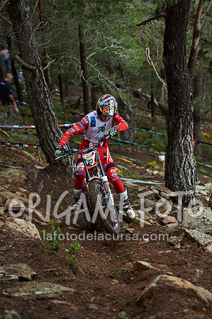 Trial_Campionat del Món 2016_018_ESP70355