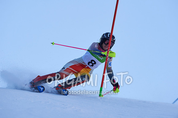 Copa gineta II_2024-12-31_060_ESP195365