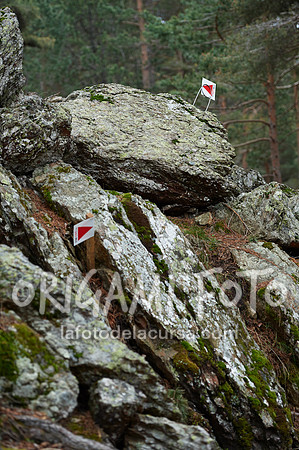 Trial_Campionat del Món 2016_060_ESP70784