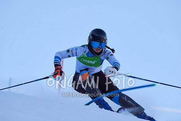 Copa gineta II_2024-12-31_043_ESP195331