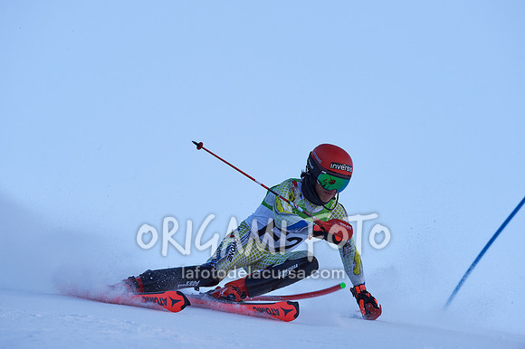 Copa gineta II_2024-12-31_011_ESP195271