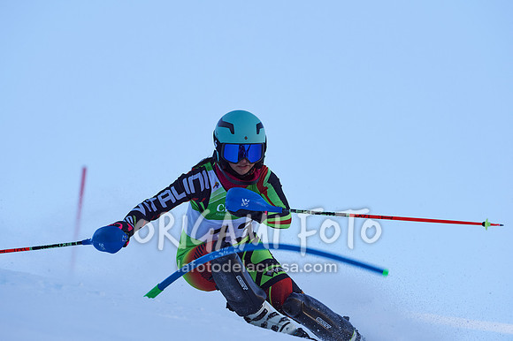 Copa gineta II_2024-12-31_097_ESP195435