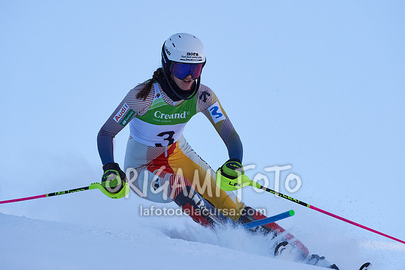 Copa gineta II_2024-12-31_037_ESP195321