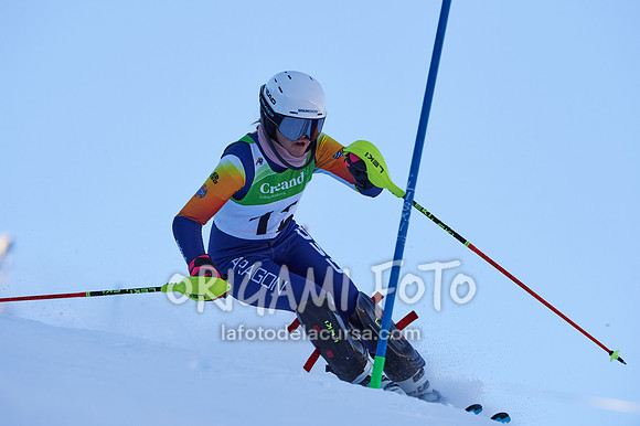 Copa gineta II_2024-12-31_091_ESP195425