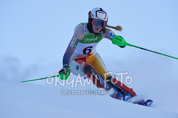 Copa gineta II_2024-12-31_054_ESP195352