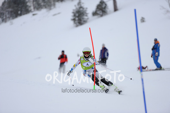 Pavand_007_ESP9231