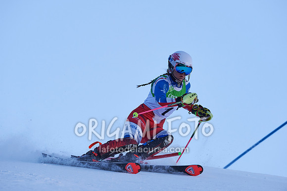 Copa gineta II_2024-12-31_025_ESP195299
