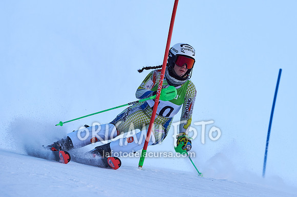 Copa gineta II_2024-12-31_072_ESP195387