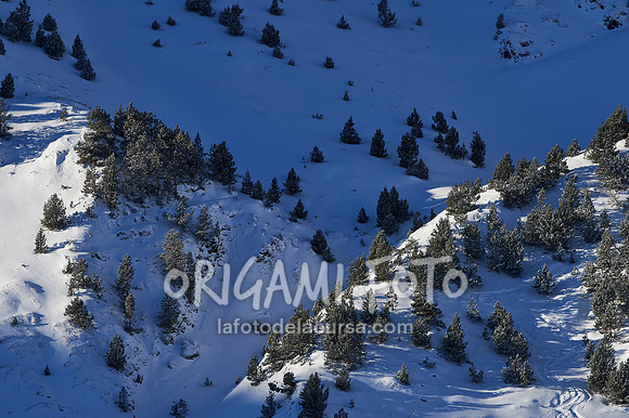 Naconals SL 19-20_2020-12-29_010_ESP139094