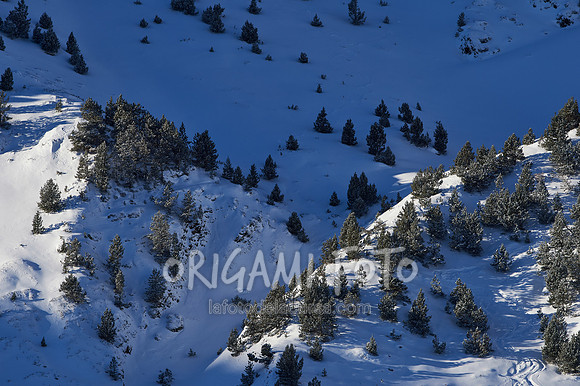 Naconals SL 19-20_2020-12-29_010_ESP139094