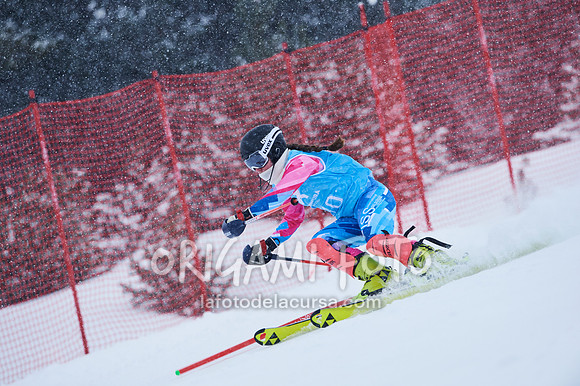 FIS SL_2020-12-30_011_ESP140912