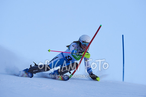Copa gineta II_2024-12-31_067_ESP195376
