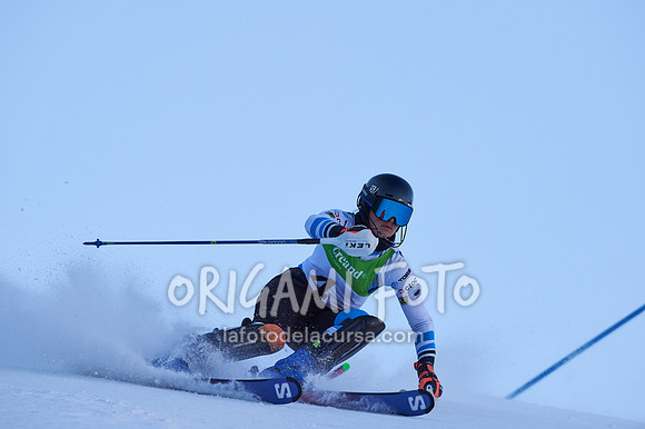 Copa gineta II_2024-12-31_041_ESP195327