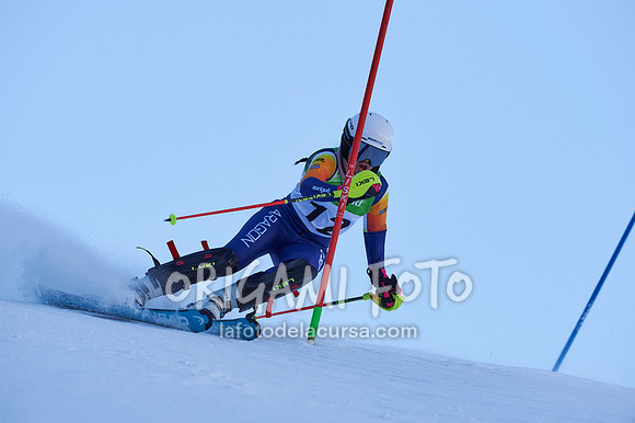 Copa gineta II_2024-12-31_088_ESP195420