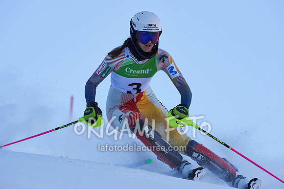 Copa gineta II_2024-12-31_038_ESP195322