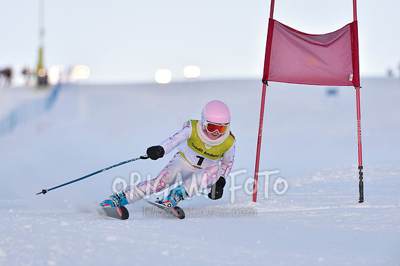 GS_Credit_010_ESP10602