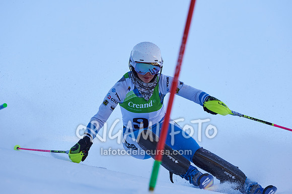 Copa gineta II_2024-12-31_069_ESP195385